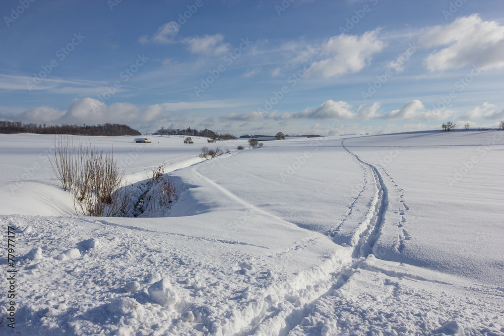 Obraz premium Loipe durch Winterlandschaft