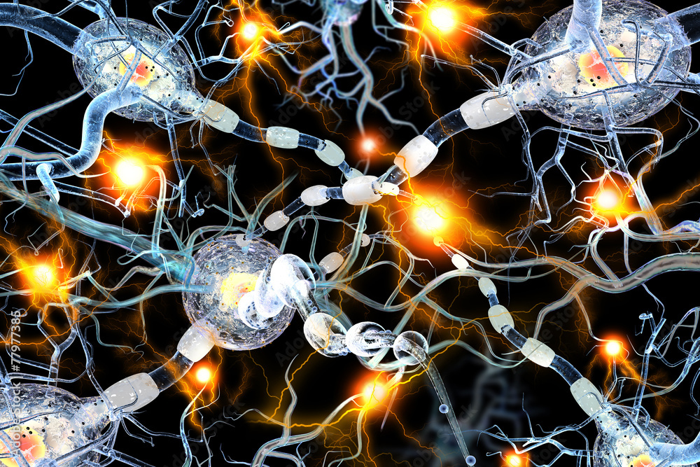 Fototapeta premium nerve cells concept for tumors,brain surgery