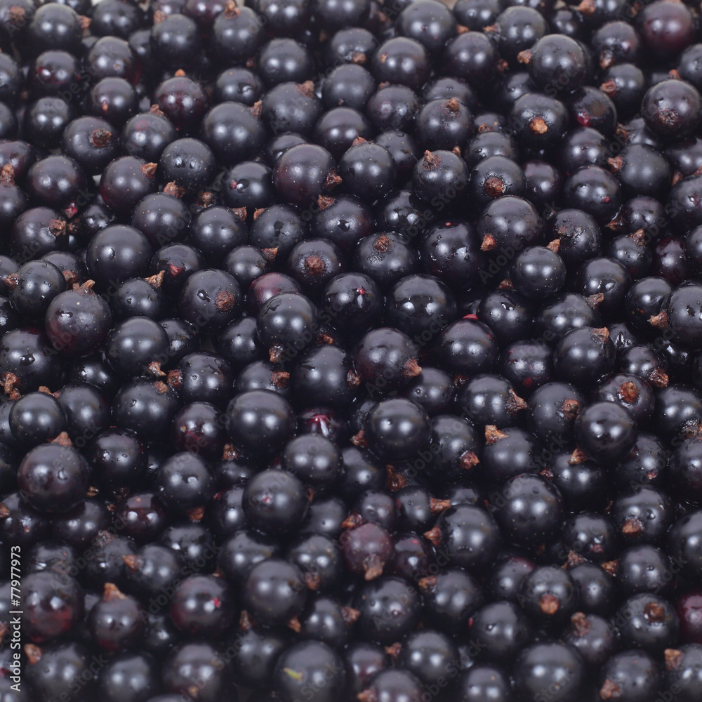 Currants Currants