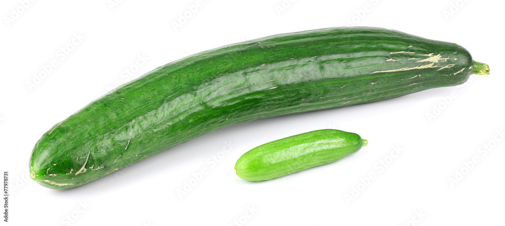 two cucumbers on a white background two cucumbers on a white background