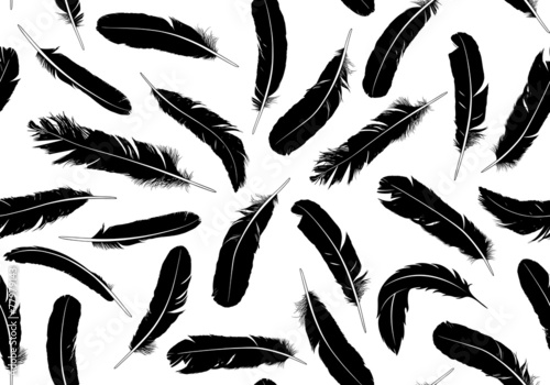 Seamless feathers isolated on white