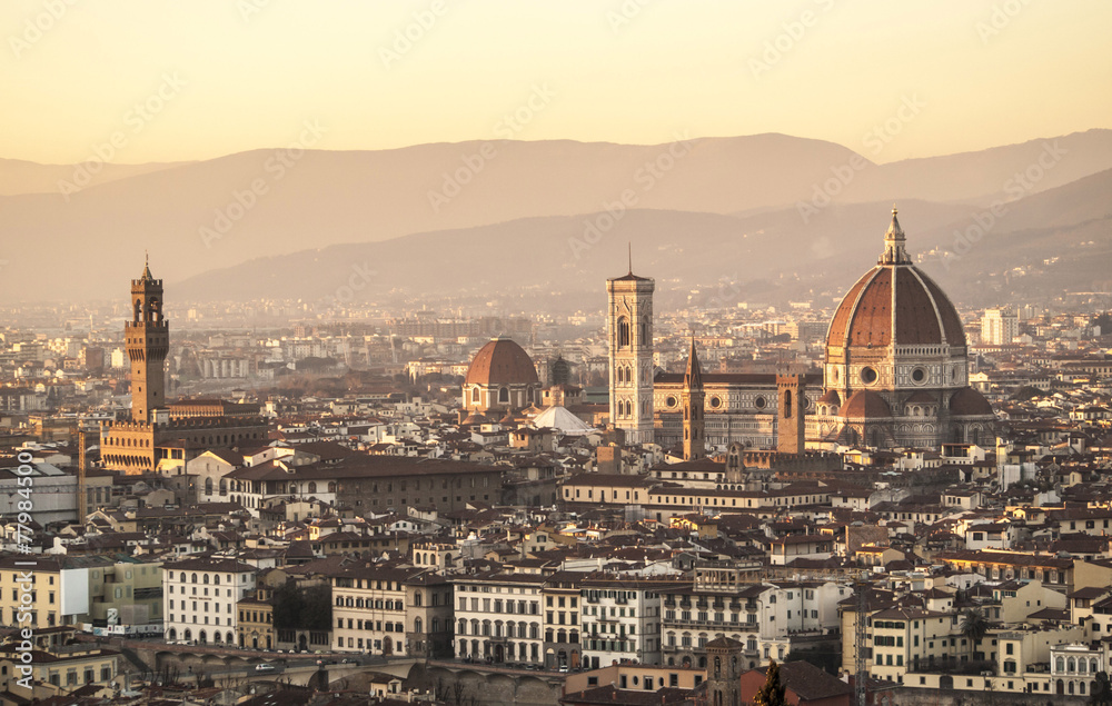 Firenze,Duomo e Palazzo Vecchio