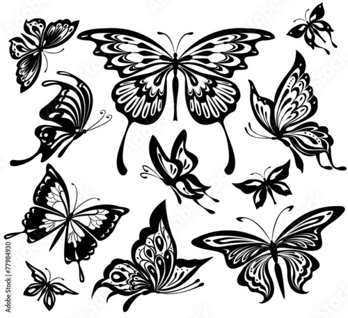 A set of black and white butterflies