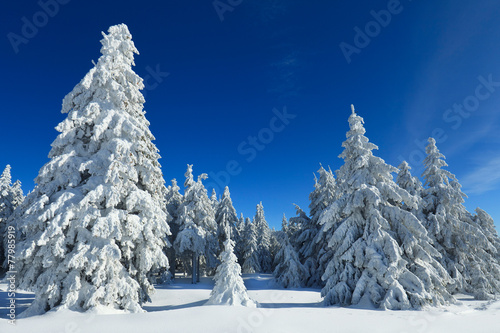 nietkniety-zimowy-krajobraz