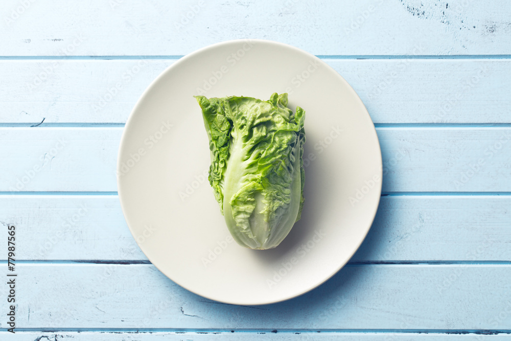 Obraz premium fresh lettuce