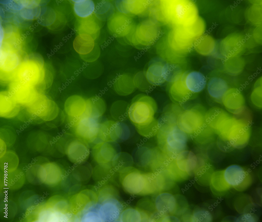 Obraz premium green light background