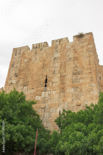 Tower on wall of Jerusalem