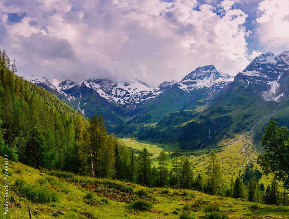 magnificent view of the Alps