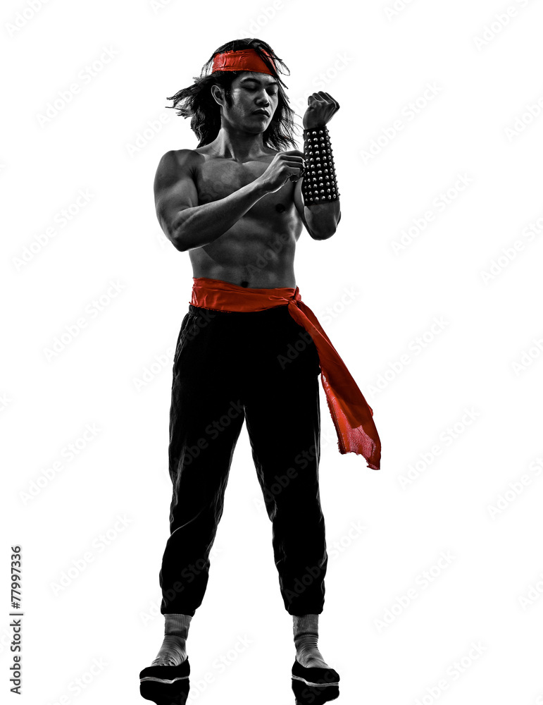 manga video games martial arts fighter manga video games martial arts fighter