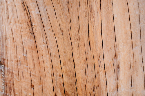 Knot wood Background