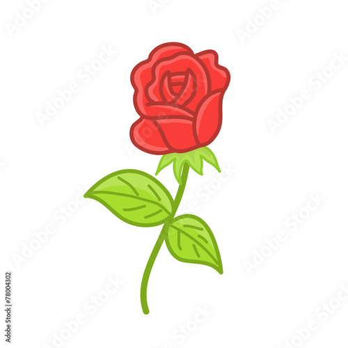 red rose isolated illustration