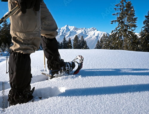 Schneeschuhe mit Alpenpanorama photo