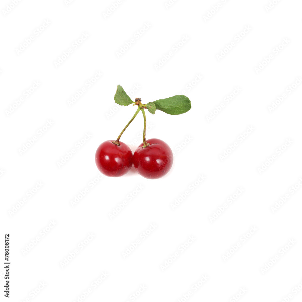 Cherry Cherry