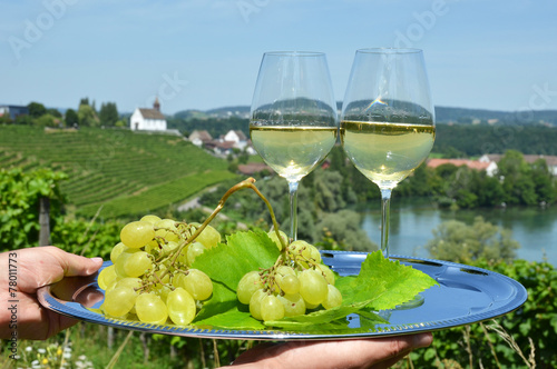 Wine and grapes against vineyards in Rheinau, Switzerland