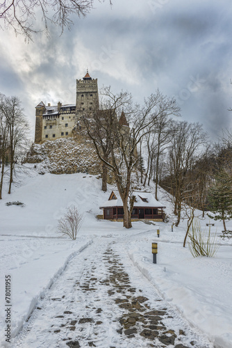 Bran Castle during winter season © caluian
