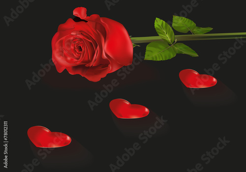 Red rose