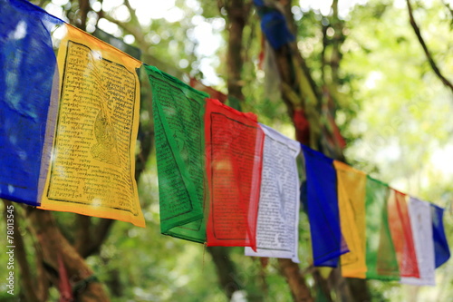 Buddhist prayer flags. T.T.Yangtse monastery-Nepal. 1006 photo