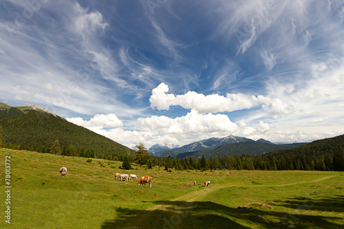 Wandern in den Bergen