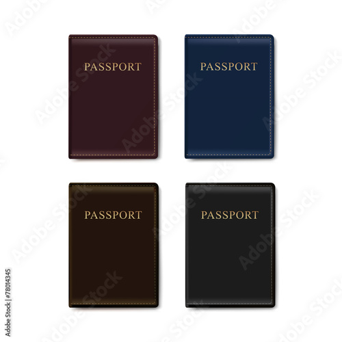 Vector Set of Leather Covers for Passport Isolated