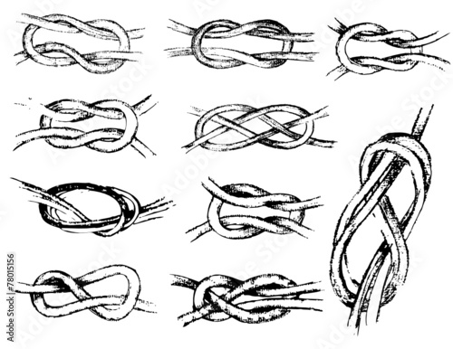 Different vector  illustration of knots isolated on white