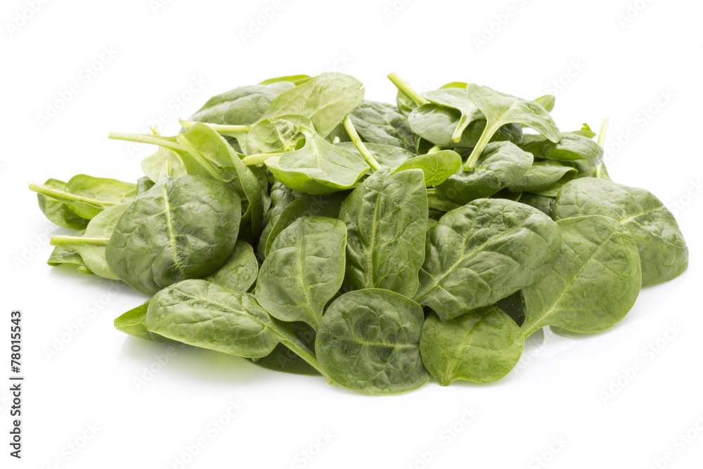 Spinach isolated on the white background. Spinach isolated on the white background.