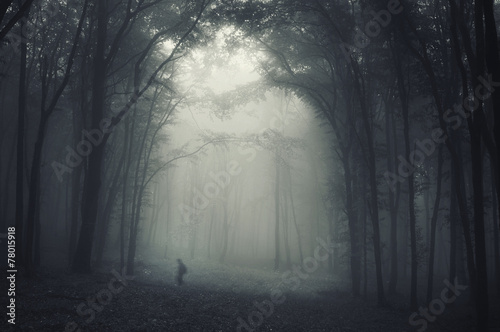 spooky shadow crawling through trees in a dark misty forest