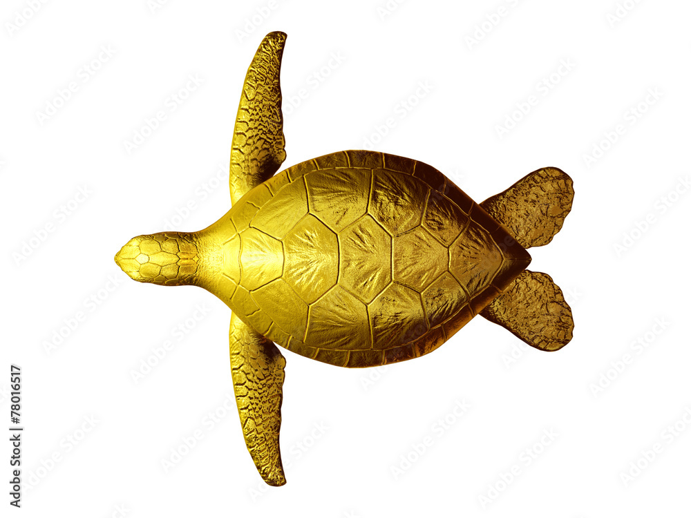 Fototapeta premium sea turtle, top view