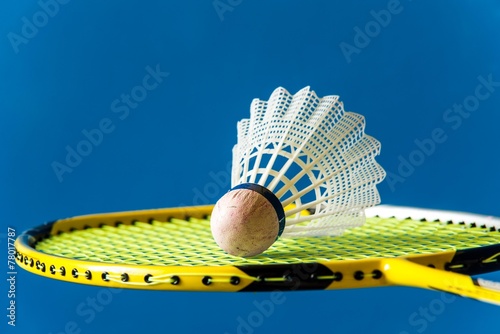 Badminton shuttlecock on the racket