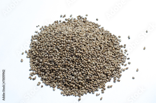 hemp seed