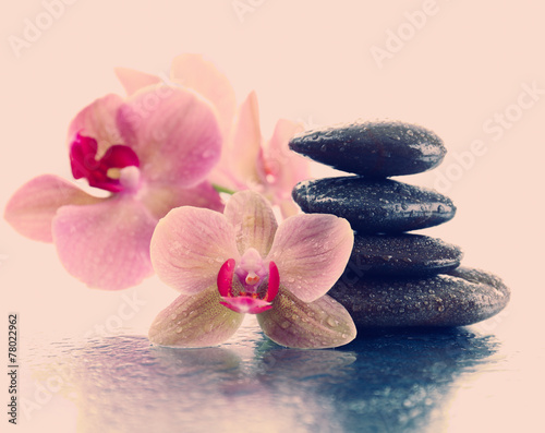 Beautiful blooming orchid with spa stones