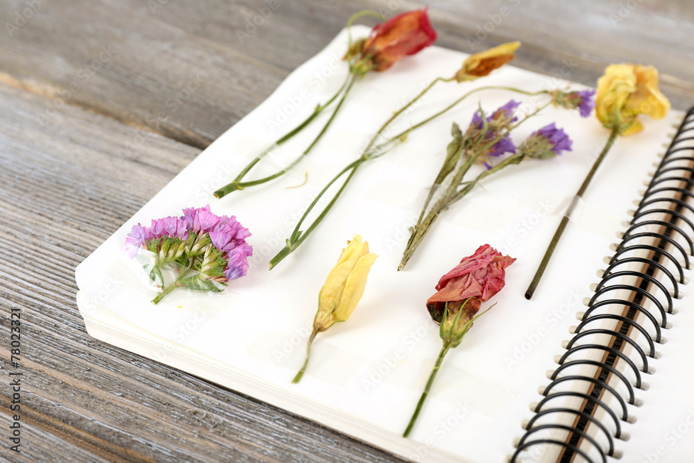 Dry up plants on notebook on wooden background Dry up plants on notebook on wooden background