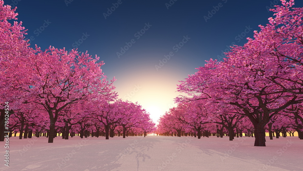 桜 桜