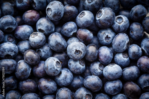 Closeup of Fresh Blueberries
