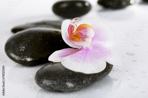 Spa stones with orchid isolated on white