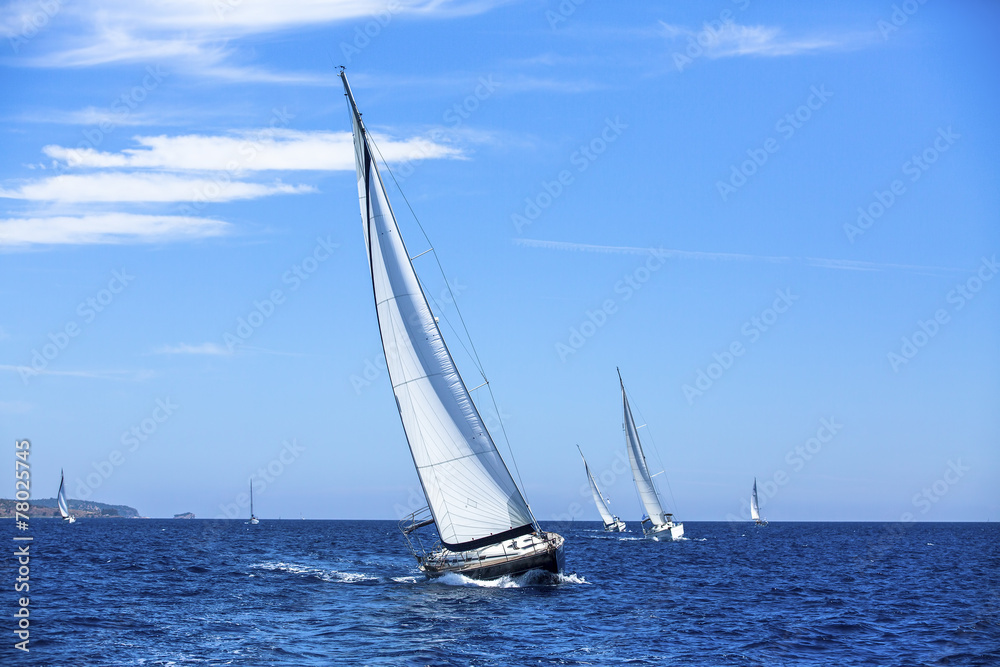 Sailboats in sailing regatta. Sailing. Luxury yachts.