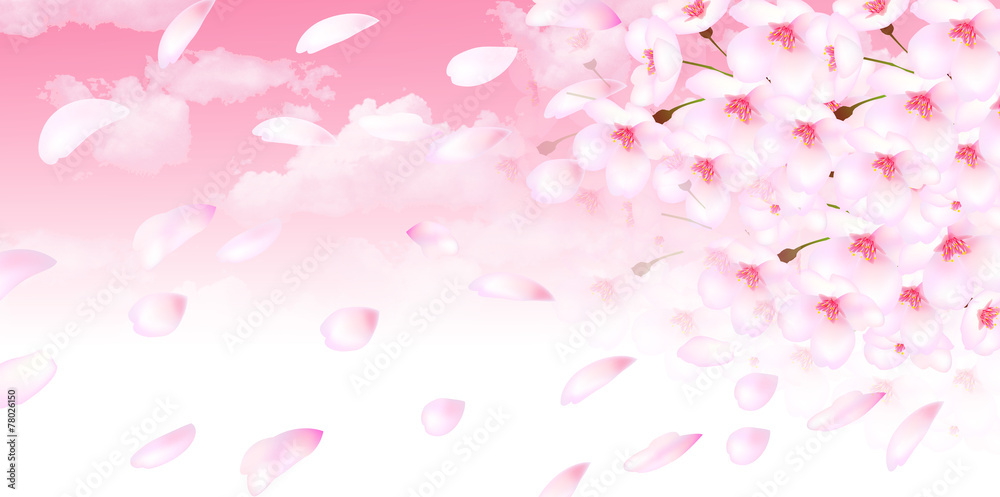 桜 花 背景 桜 花 背景