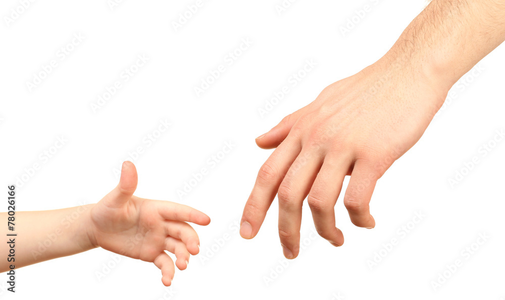 Child and father hands isolated on white Child and father hands isolated on white
