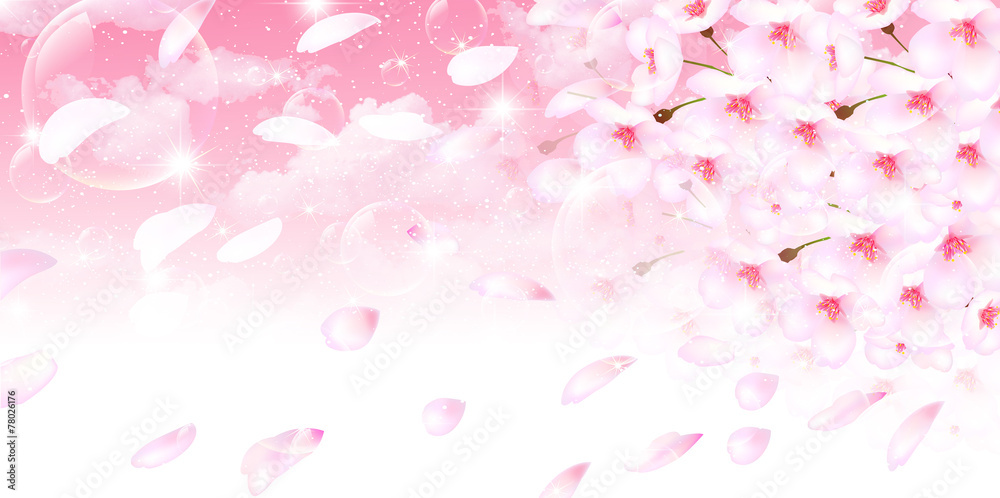 桜 花 背景 桜 花 背景