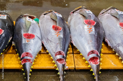 Tuna auction at Osaka Central Wholesale Market
