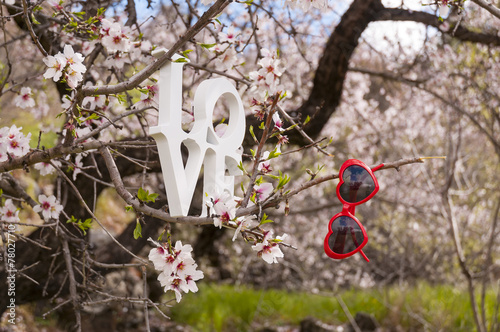 Love and heart shaped sunglasses in almonds trees photo