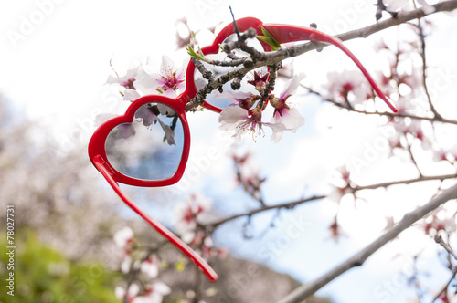 Red heart shaped sunglasses in blossoming almonds trees photo