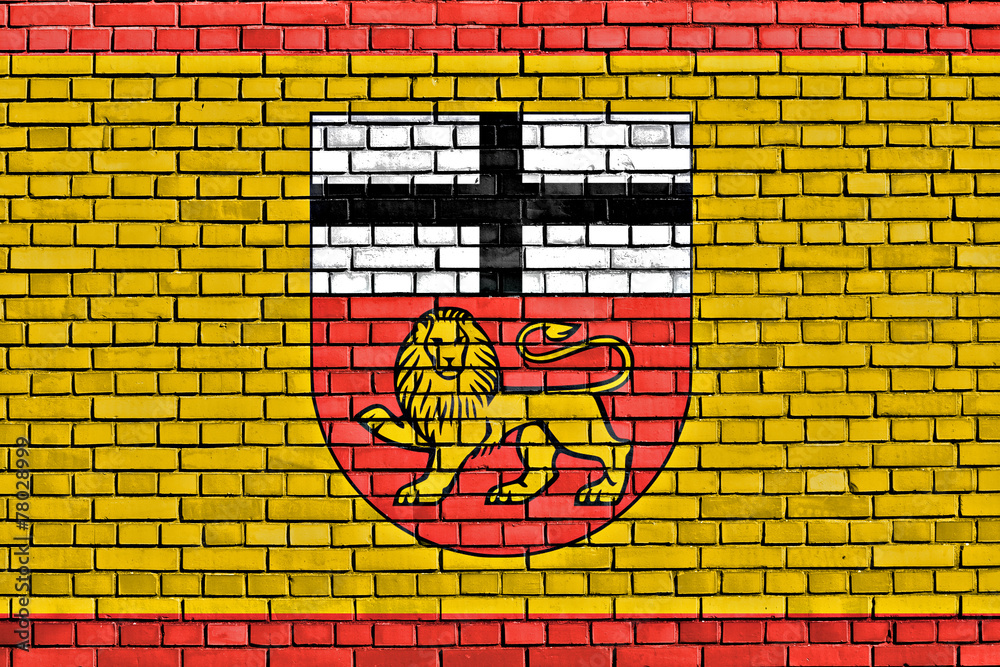 Fototapeta premium flag of Bonn painted on brick wall