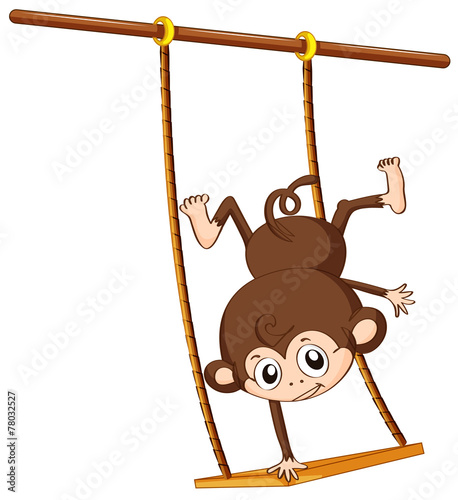 Monkey and swing