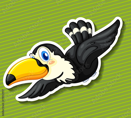 Toucan.
