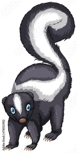 Skunk