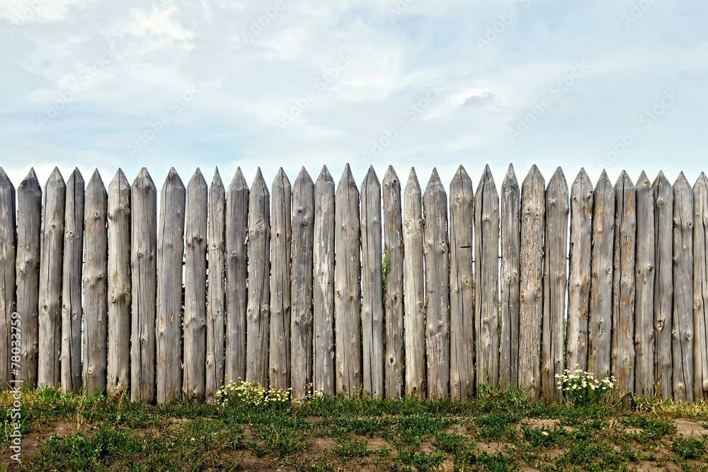 Fototapeta premium Fence log with flowers