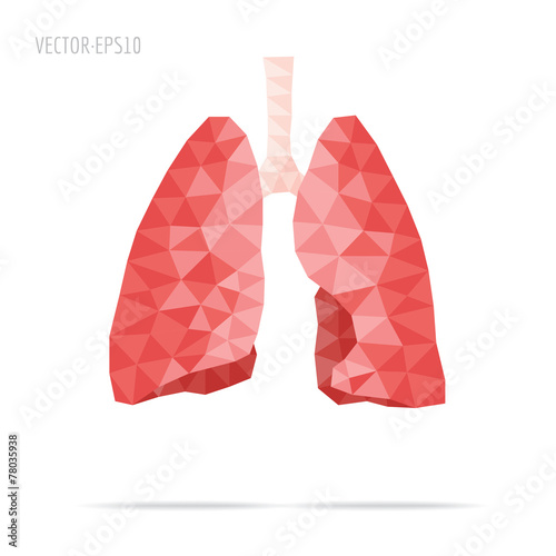 Lungs faceted