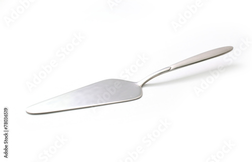 Silver Cake Spatula