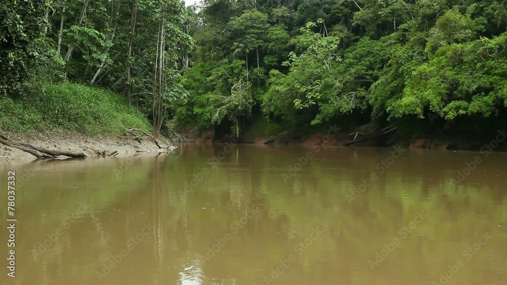Drifting down an Amazonian river Drifting down an Amazonian river