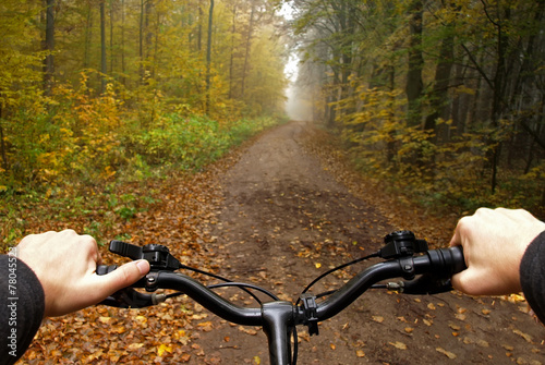 bike ride in autumn forest